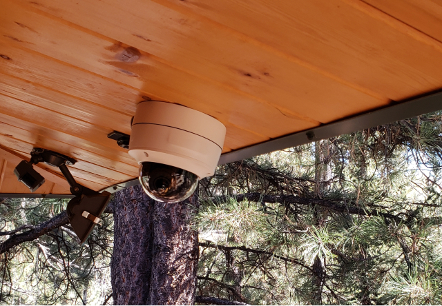 A close-up of a dome-style security camera